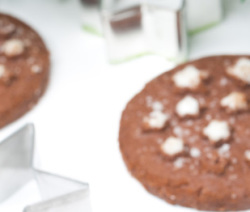 Biscotti al cioccolato Bimby Natale