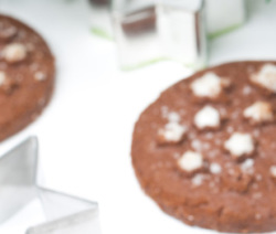 Biscotti al cioccolato Bimby Natale